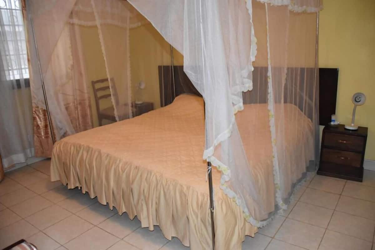 Un dormitorio con una cama bajo un dosel, una mesita de noche con una lámpara y una silla al fondo.