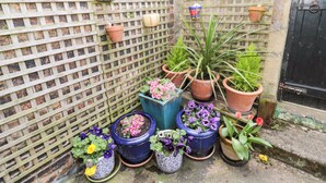 Un coin de jardin agrémenté d’un mur en treillis de bois, de différentes plantes en pot et d’une porte noire.