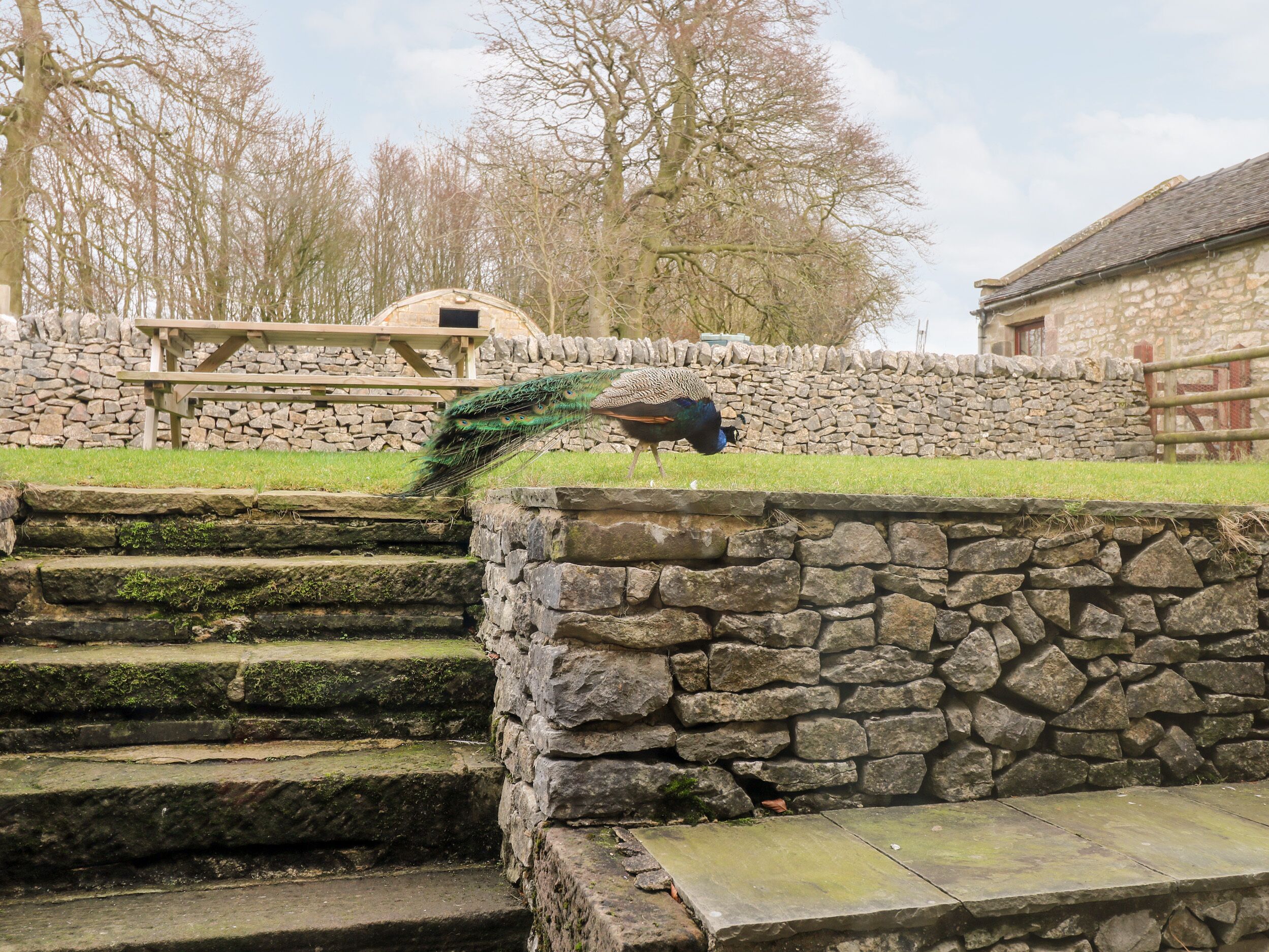 村舍 | 住宿内部