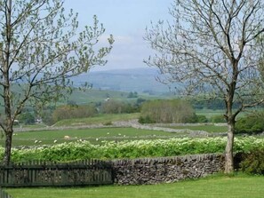 A rural landscape with stone walls, green fields, and trees.