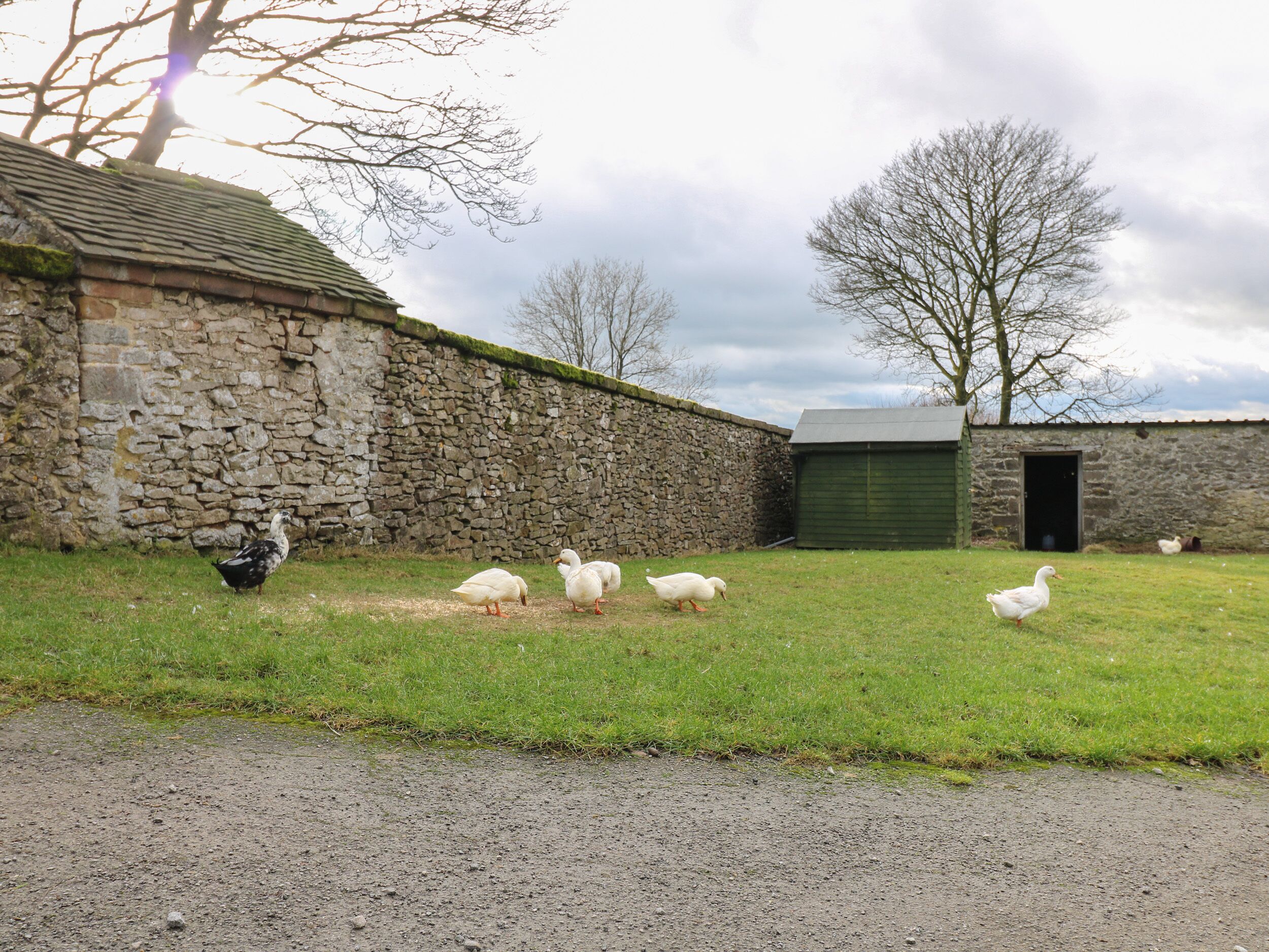 Ferienhaus | Unterkunftsgelände