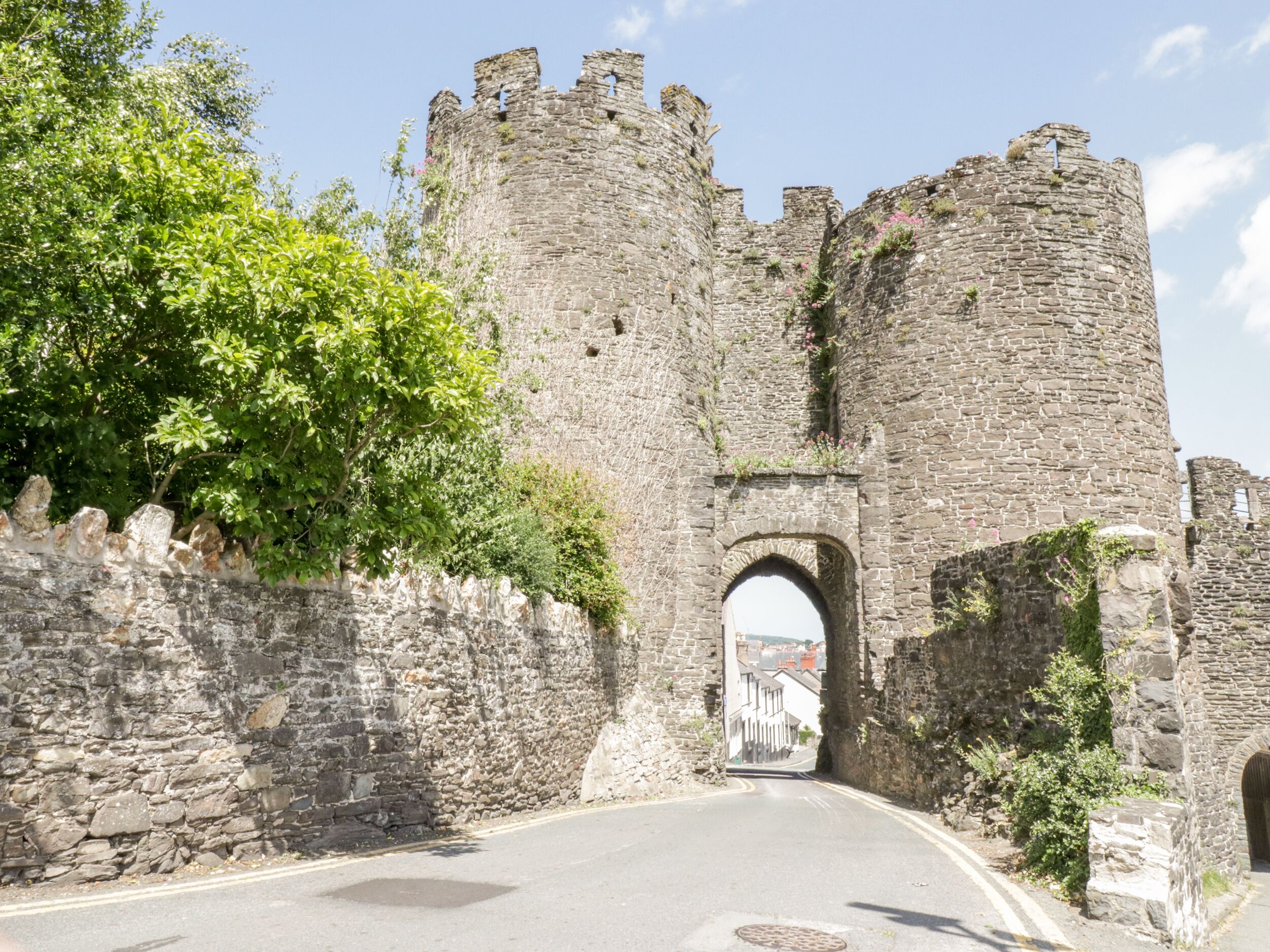 Un castillo de piedra con un gran arco de entrada, rodeado de vegetación y un camino pavimentado.