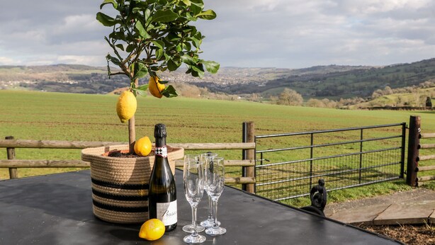Una mesa con una botella de Prosecco, copas, limones y un limonero en maceta.