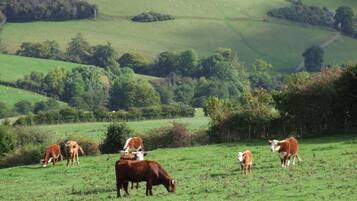 Cottage | Fitness facility