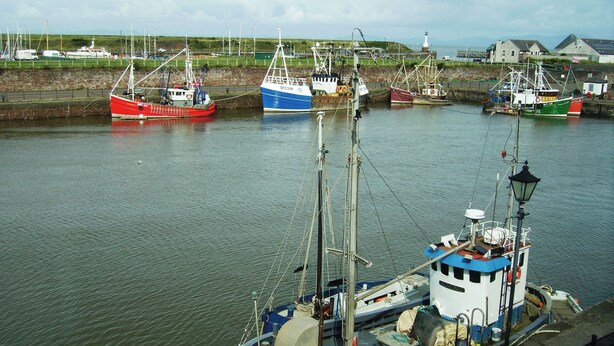 A harbor with several fishing boats docked. - Harbour Side (Maryport)