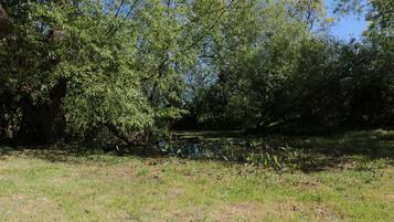 Un paysage naturel composé d’une zone herbeuse, d’arbres et d’un petit plan d’eau.