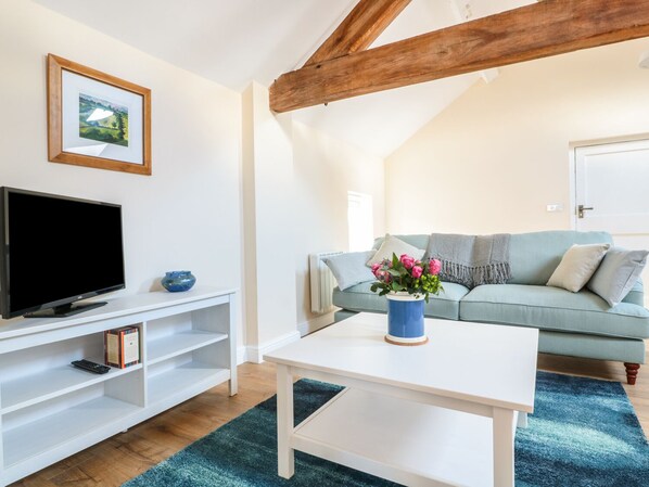 A living room with a television, white shelves, a coffee table, a sofa, and a blue rug. - Granary 2 (Hereford)