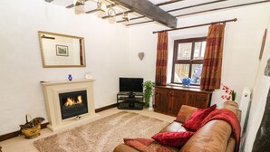 Una sala de estar con chimenea, televisión y sofá.