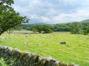 Un muro de piedra con un campo cubierto de hierba y árboles al fondo.