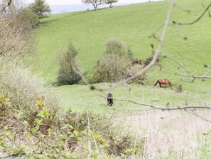 Un campo cubierto de hierba con un caballo pastando y una persona caminando a lo lejos.