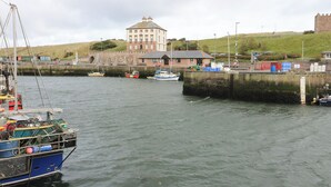 A harbor with boats docked, a large building with a tower, and a grassy hill in the background. - Sea Spray (Eyemouth)