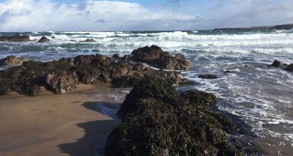 Sea Spray