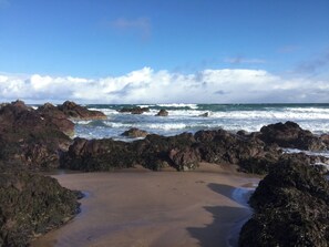 Beach - Sea Spray (Eyemouth)