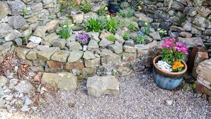 Un jardín con muro de piedra, diversas plantas y una maceta grande con flores.