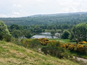 Un río serpentea a través de un paisaje exuberante con árboles y arbustos densos.