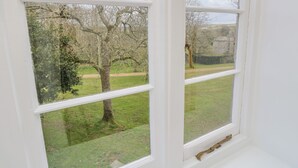A window with a view of a grassy area and trees.