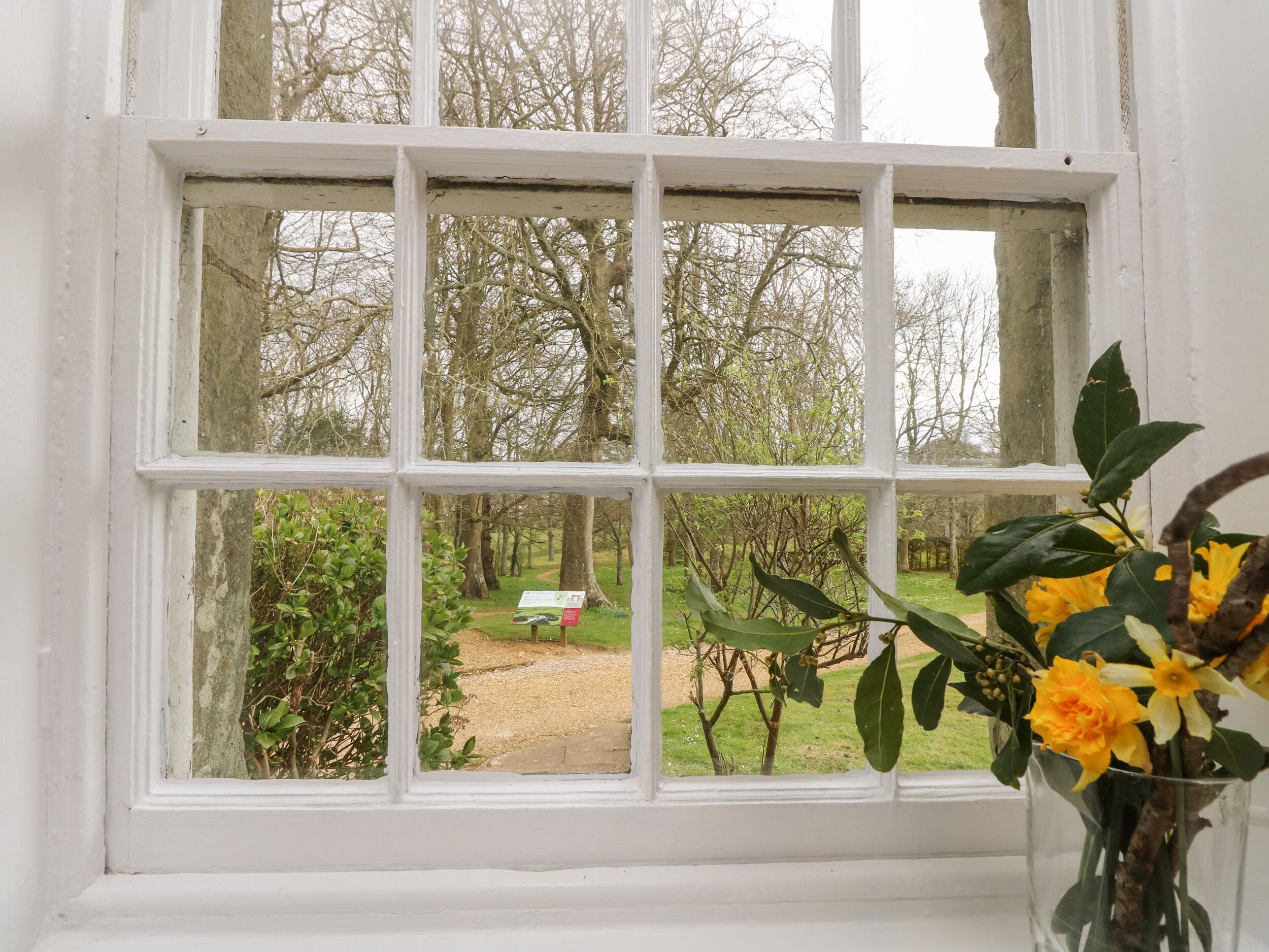 A window with a view of a garden and a sign.