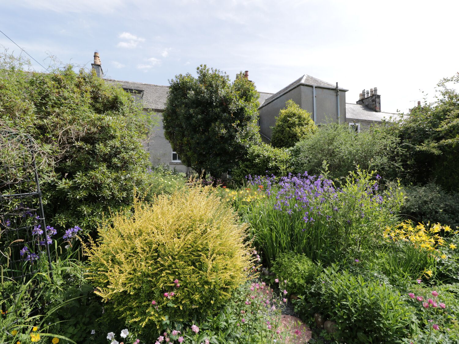 A garden with various plants and flowers, a metal fence, and a building in the background.