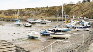 A marina with various boats docked. - Dunnottar Woods House (Stonehaven)