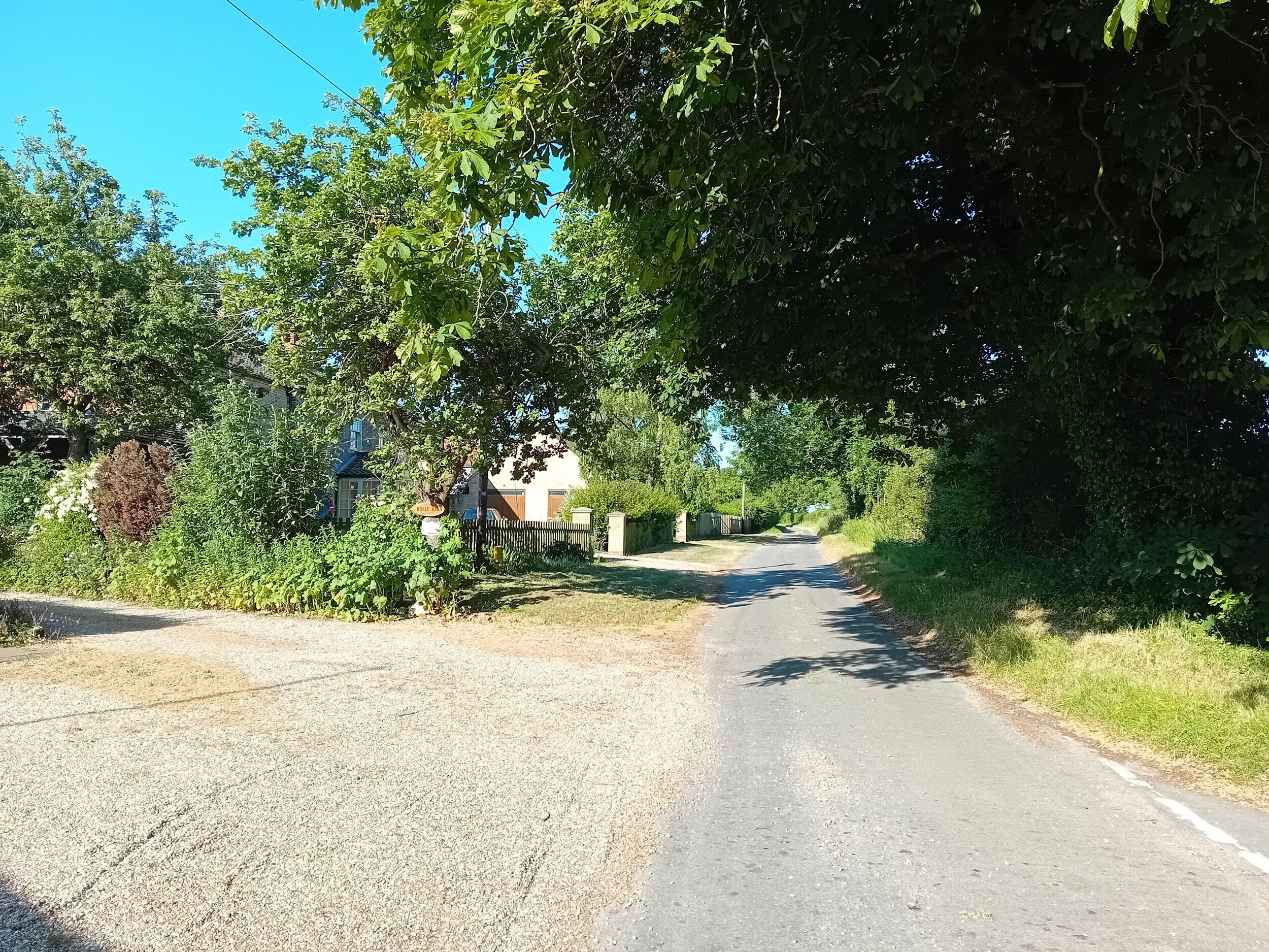 Un camino rural bordeado de abundante vegetación y una casa a lo lejos.