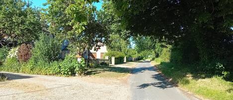 Un camino rural bordeado de abundante vegetación y una casa a lo lejos.