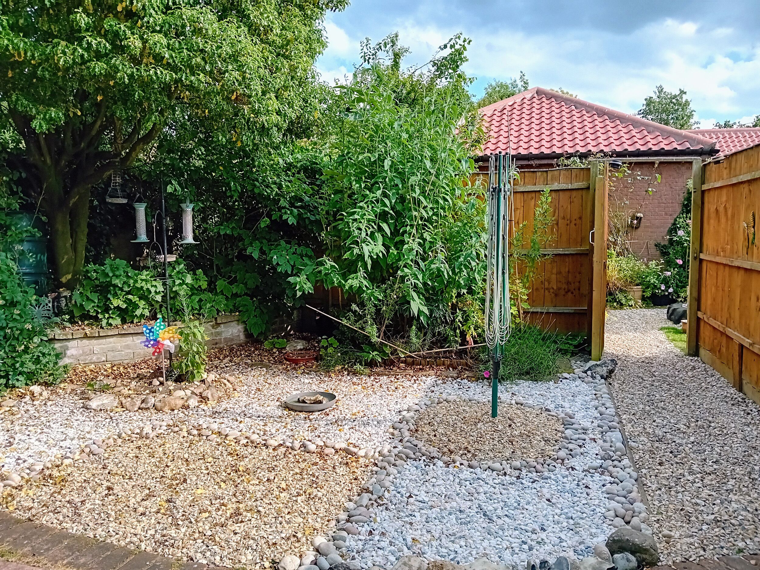 A garden with a gravel path, a wooden shed, and a large tree.