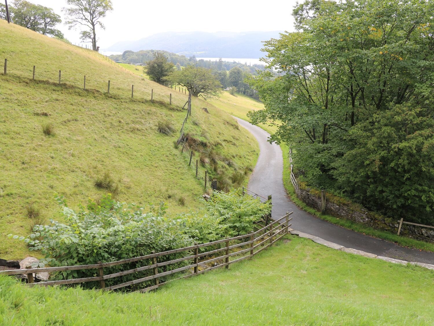 Eine ländliche Straße schlängelt sich durch eine grüne Landschaft, begleitet von einem Holzzaun und dichten Bäumen.