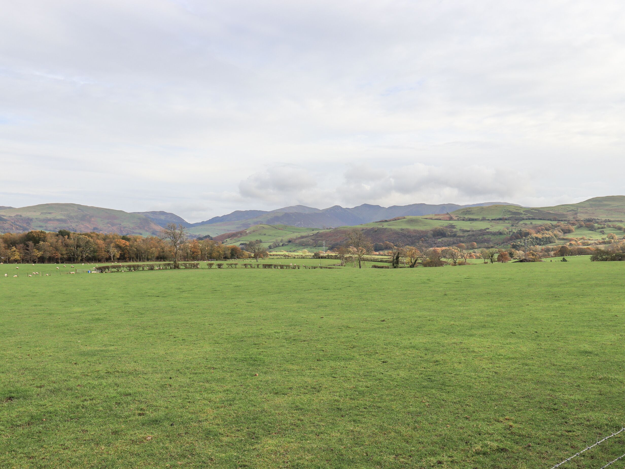 A wide, open field with a distant mountain range and a cloudy sky.