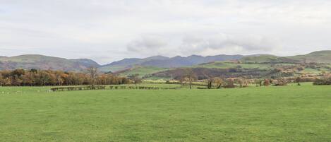 A wide, open field with a distant mountain range and a cloudy sky.