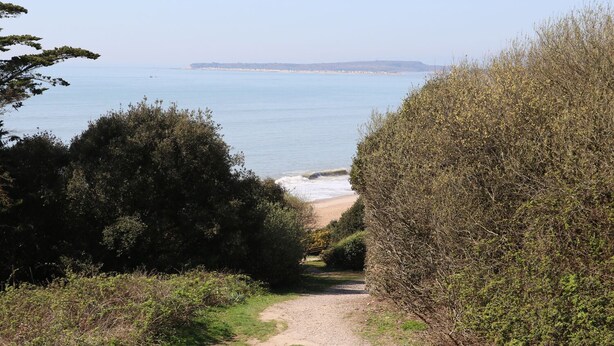 Un sentier côtier qui mène à une plage, bordée de chaque côté par une végétation arbustive dense.