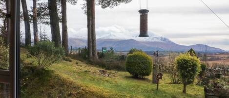 Cottage | View from property