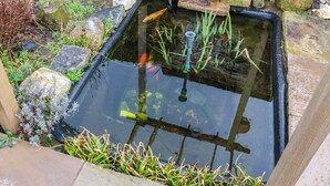 A small, rectangular pond with a clear water surface, surrounded by rocks and plants. - Providence Apartment (Doncaster)