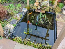 Un estanque pequeño y rectangular con superficie de agua clara, rodeado de rocas y plantas.