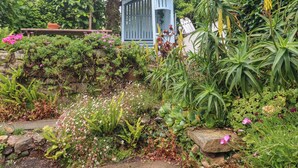A garden with various plants and flowers, a stone wall, and a blue gate.