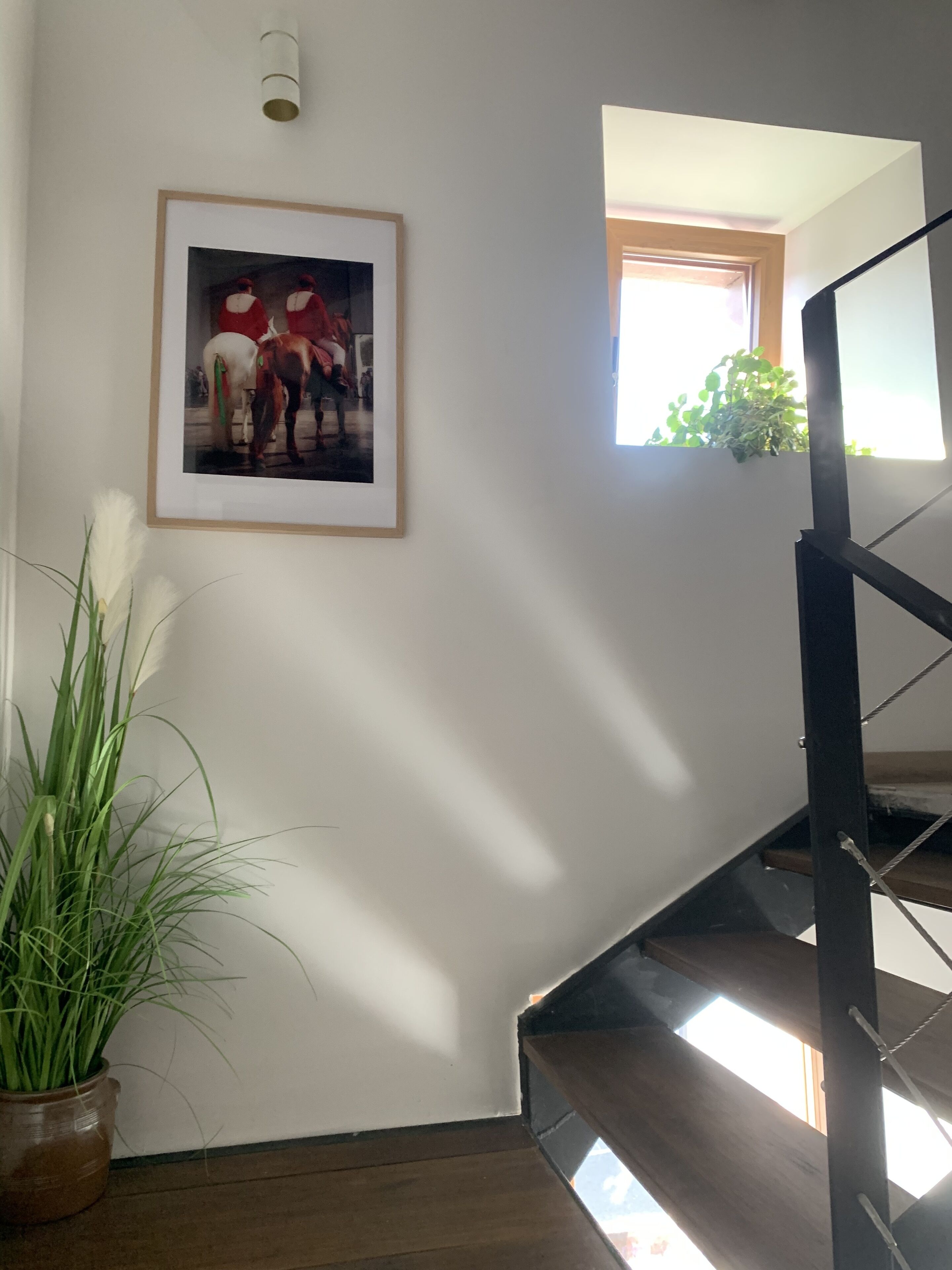 Eine Treppe mit Holzboden und Metallgeländer, ein gerahmtes Bild an der Wand und ein Blumentopf.