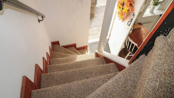 A carpeted staircase with wooden handrails and a door leading outside.