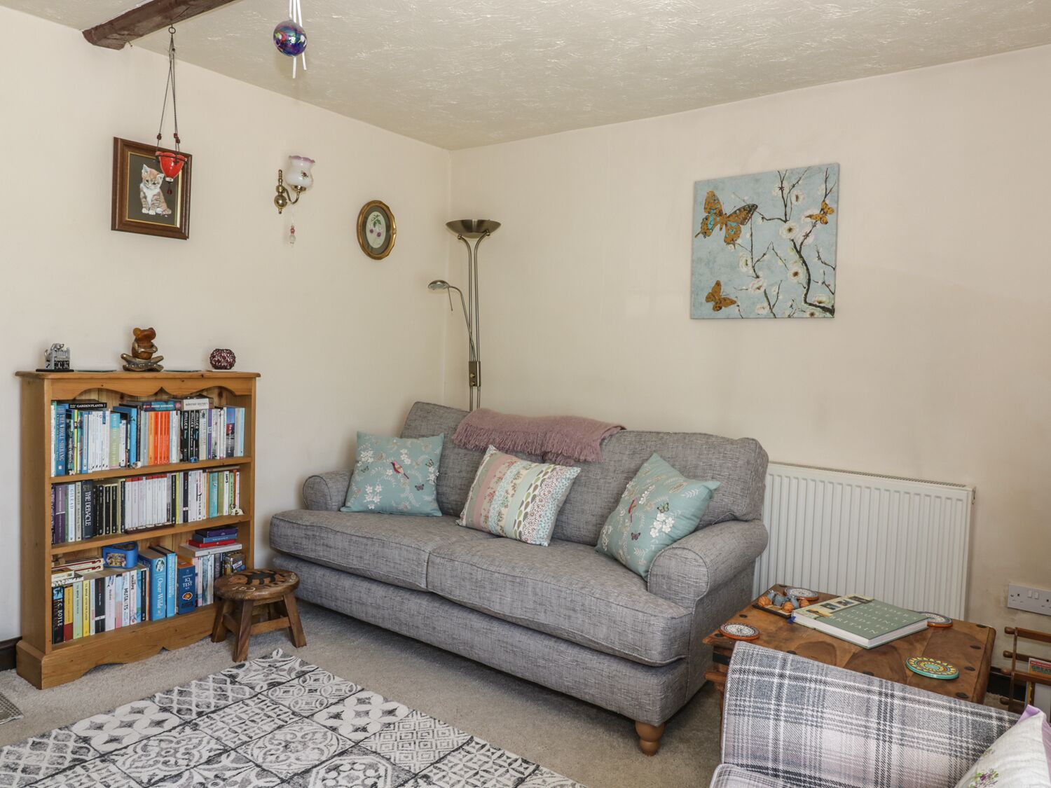A cozy living room with a grey sofa, a wooden bookshelf, and a patterned rug.