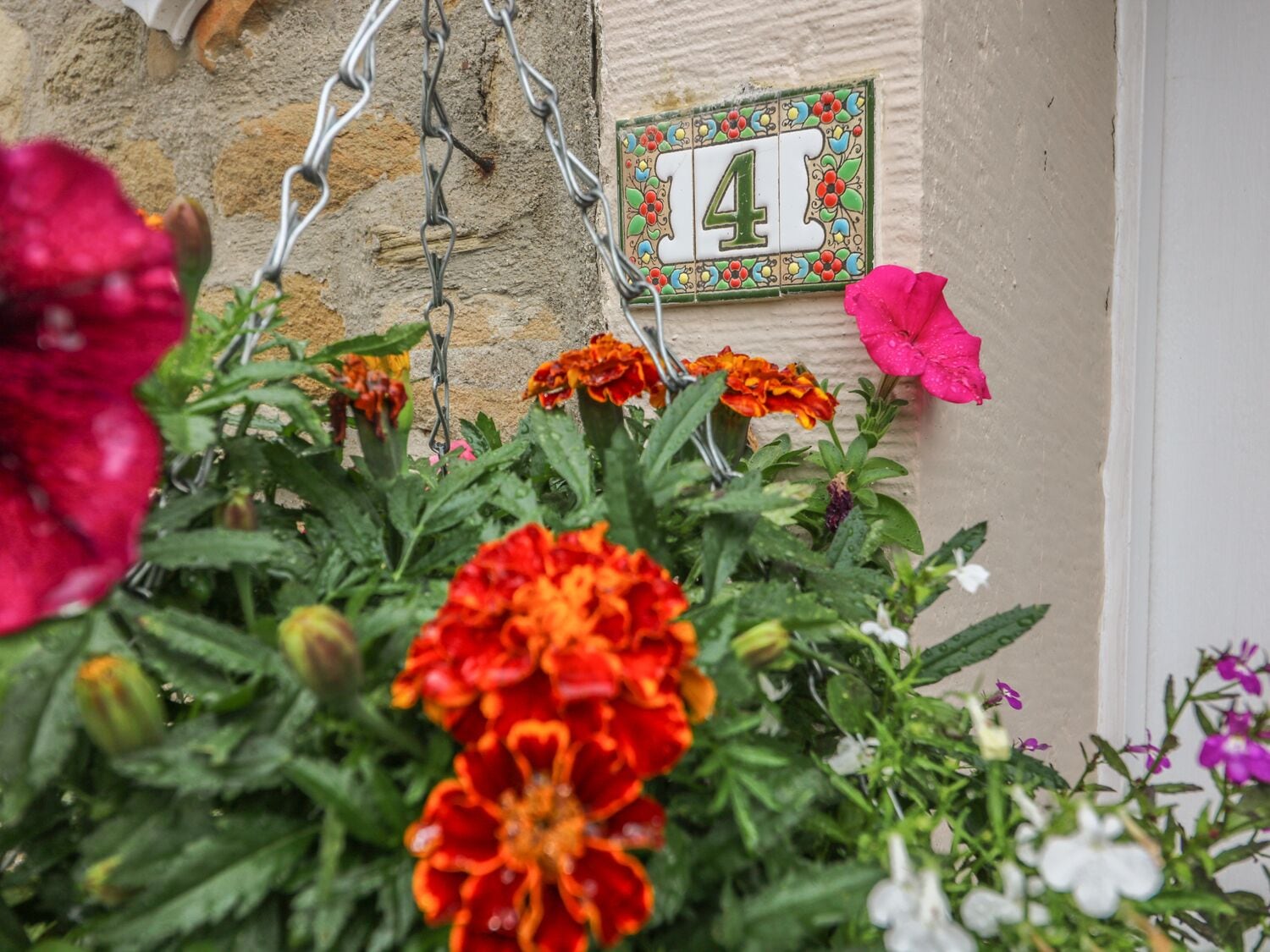 A house number '14' on a wall, surrounded by various flowers.