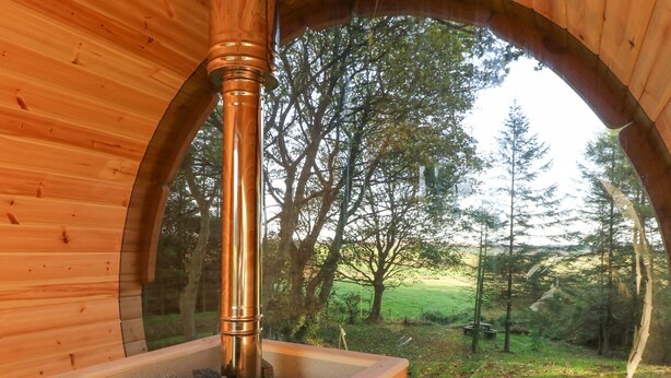 A wooden cabin with a glass window revealing a forest view. Inside, there's a wood-burning stove with a metal grate and a nameplate reading "HARVIA".