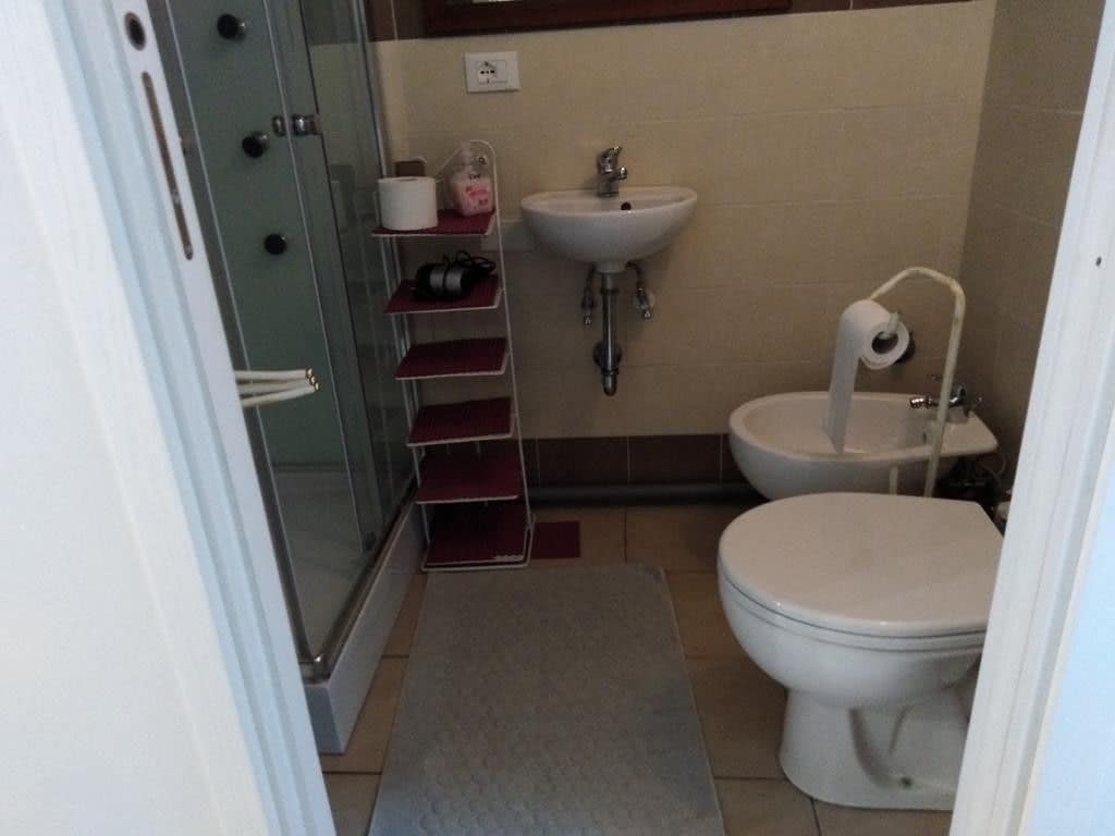 A bathroom with a glass shower enclosure, a white sink, a toilet, and a shelf with toiletries.