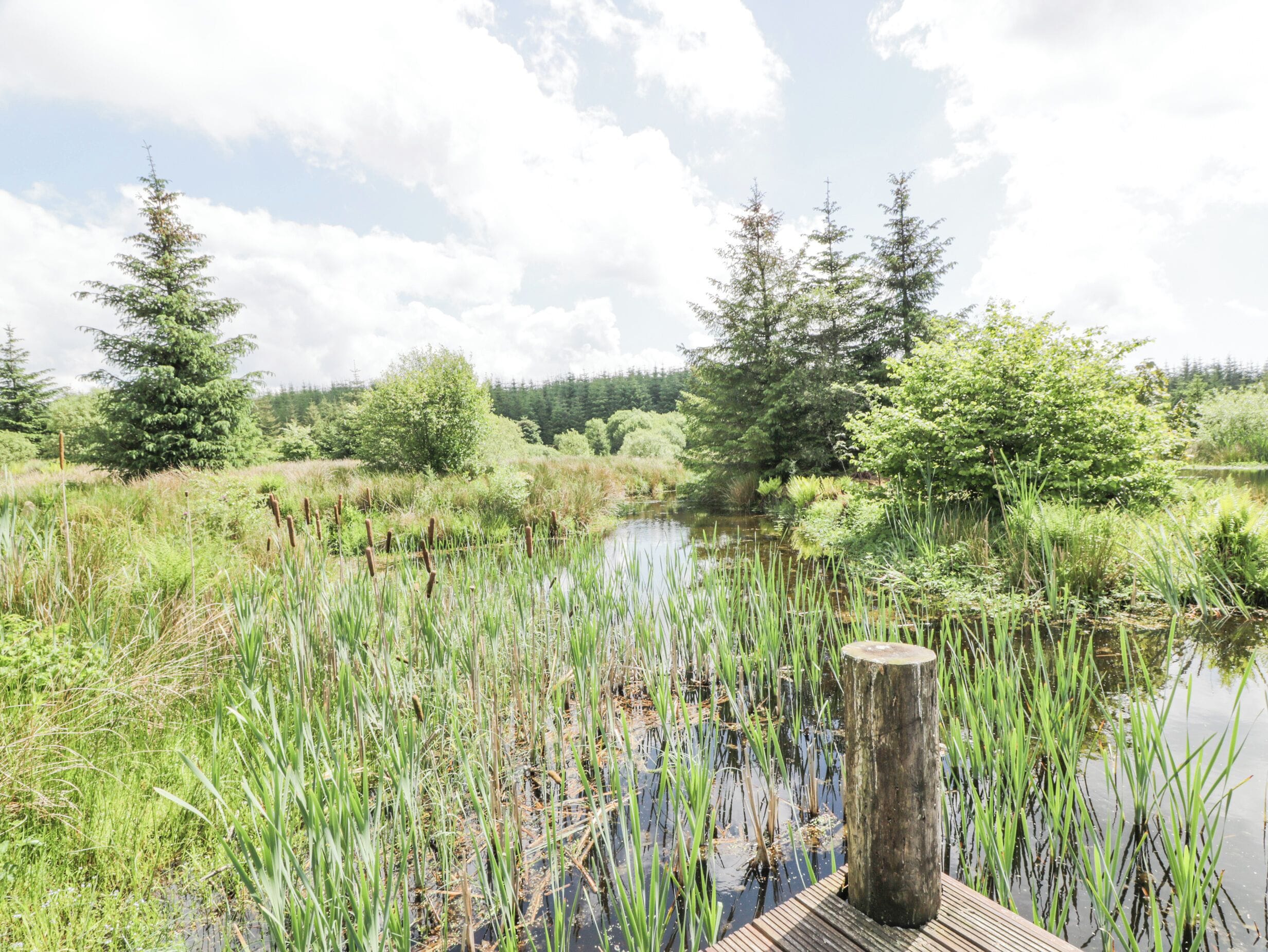 Cottage | Property grounds