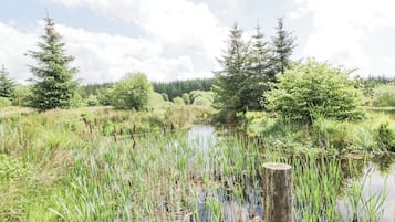 Cottage | Property grounds