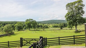 A rural landscape with a wooden fence, a stone wall, and a large tree in the foreground. - Bracken Holiday Cottage (Dalbeattie)
