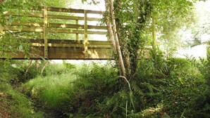 Een houten bruggetje over een beekje, omringd door weelderige begroeiing en varens.