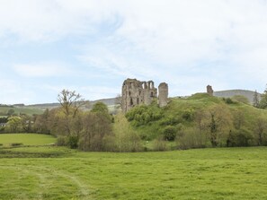 Les ruines d’un château historique, situées sur une colline verdoyante, entourées d’arbres, sous un ciel dégagé.
