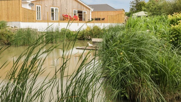 A wooden building with a pond in front, surrounded by tall grass and trees. - Chy Lagen Hos (Newquay)