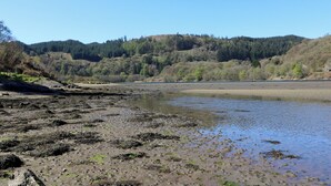 A natural landscape with a riverbank, trees, and a hill in the background. - Seaview-barsloisnach Cottage (Lochgilphead)