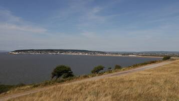 A coastal landscape with a clear view of a town across the water, a dirt path, and sparse vegetation.