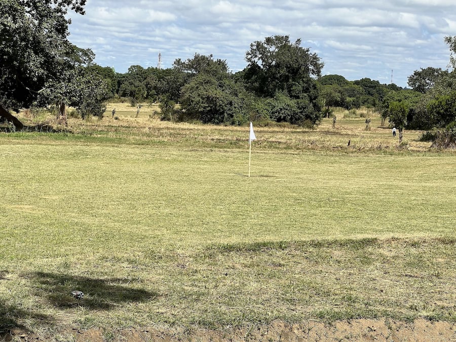Un campo de golf con un mástil de bandera en el centro, rodeado de árboles y zonas de césped abierto.