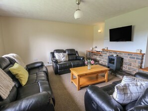 TV, DVD player